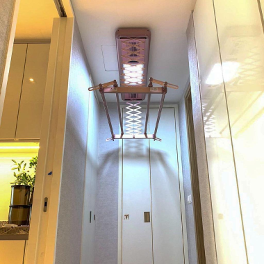 Wallich Residence Condominium